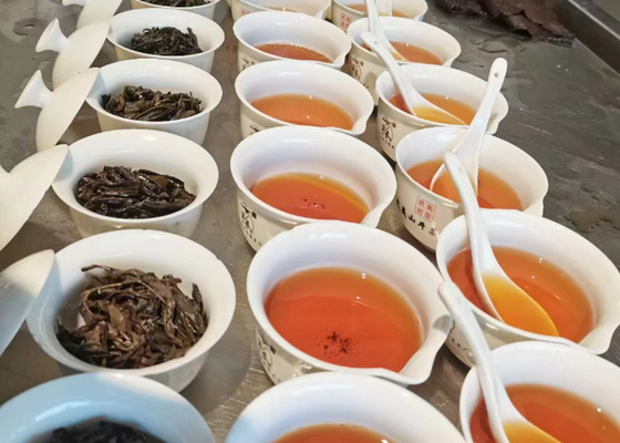 Trà Oolong nóng hoặc lạnh với mùi hoa để phục vụ