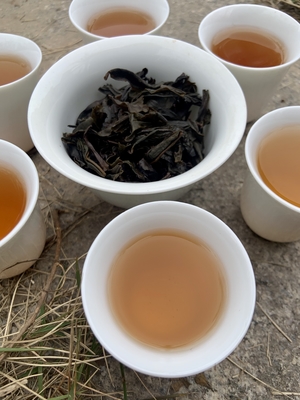 Nhiệt độ pha 100 ° C tiết lộ bản chất trái cây của trà Pu Erh