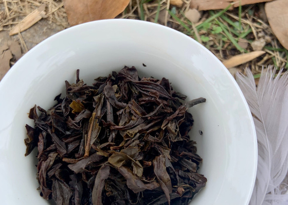 Những nguồn cảm hứng từ hoa sống lại trong những cốc trà xương với thời gian pha 3-5 phút